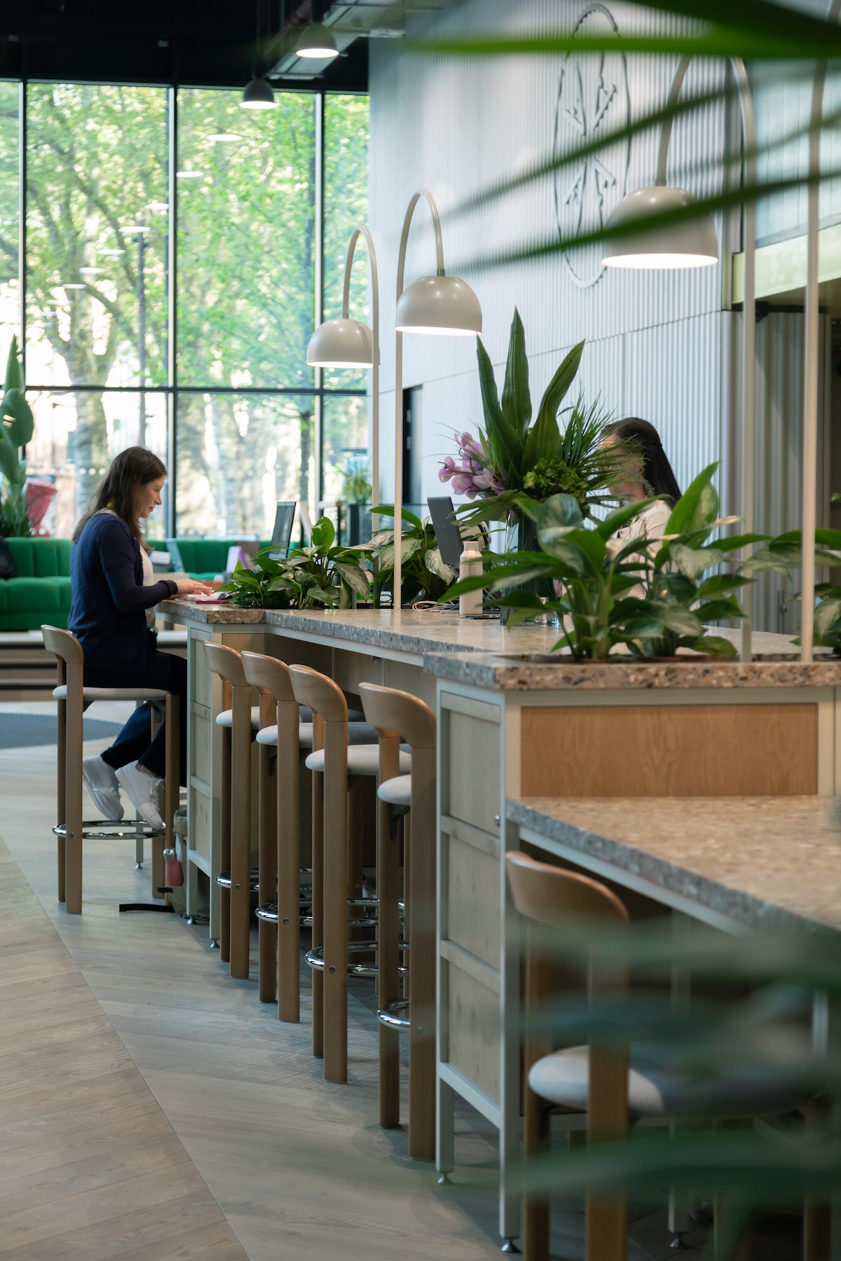 Co-working reception desk, with disabled access. Plants and open plan