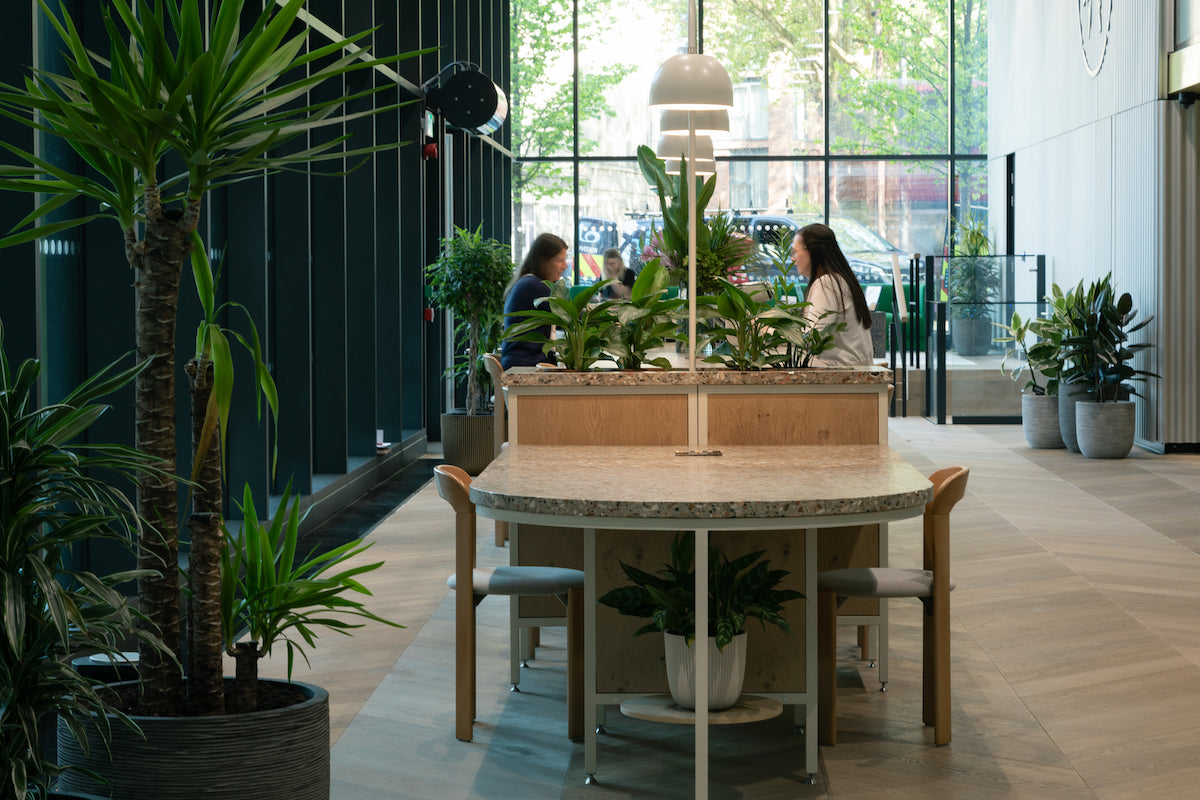 Bespoke reception desk, steel frame powder-coated in white with oak fronts and plants