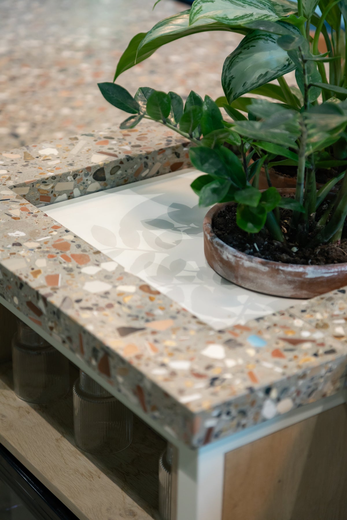Plants in offices. plants in powder-coated platers in terrazzo work top